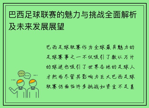 巴西足球联赛的魅力与挑战全面解析及未来发展展望