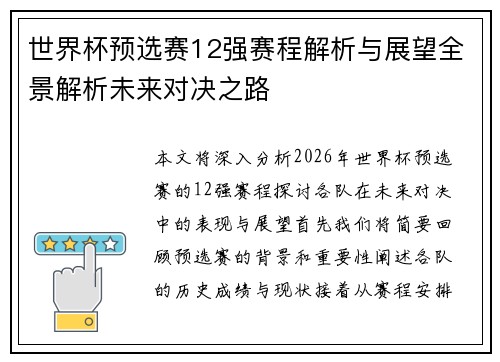 世界杯预选赛12强赛程解析与展望全景解析未来对决之路